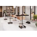 Ассистент колориста ASSIST