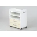 Тумба ERGO BASIC